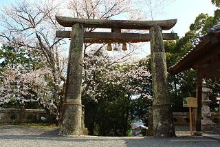 Takeo-jinja Shrine (The Great Takeo Camphor Tree)