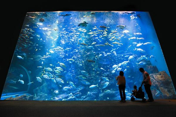 Oga Aquarium GAO