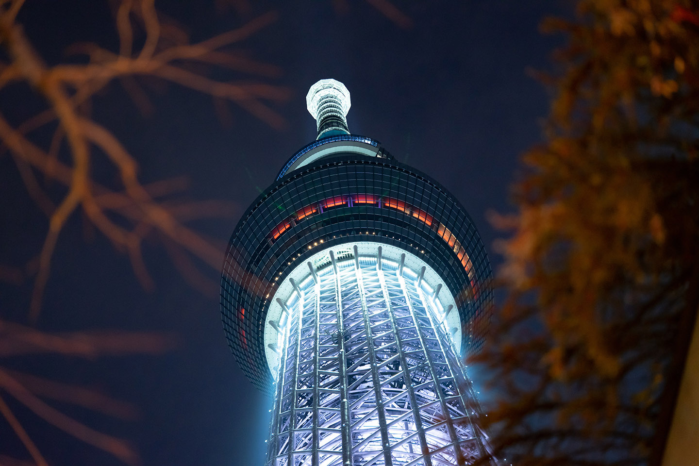 7 Best Places to Shoot Sky Tree