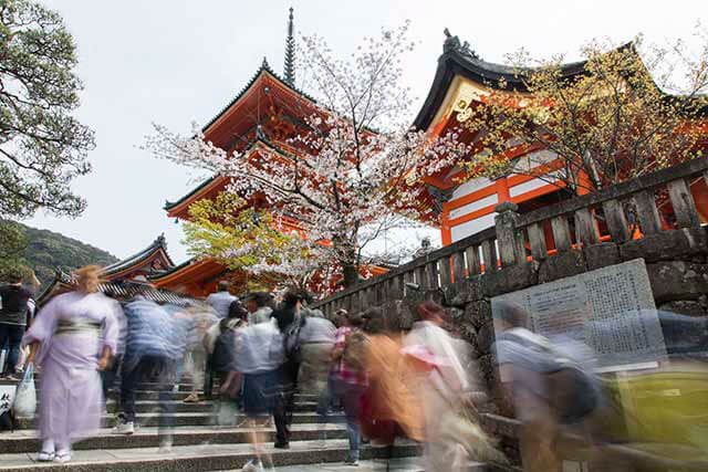 17 of the Best Activities in Kyoto