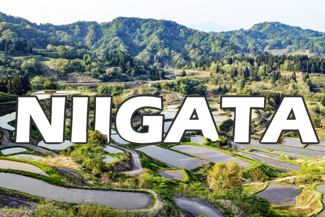 Basic Information about Niigata