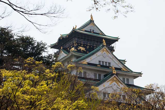 Osaka Castle and the Surrounding Area