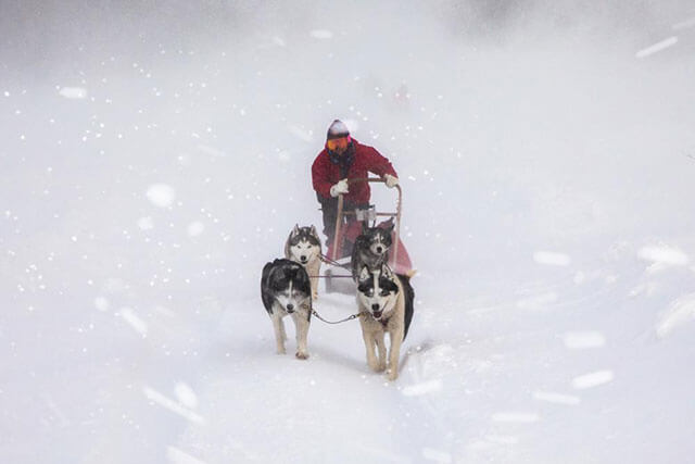 Outrider – Husky Sledding in the Sparse Winter Setting of Engaru