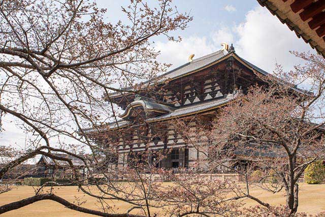 What to Do in Nara