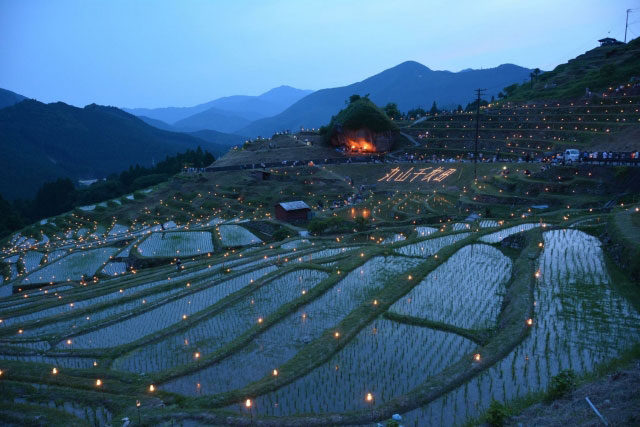 8 Beautiful Rice Terraces You Must See in Japan