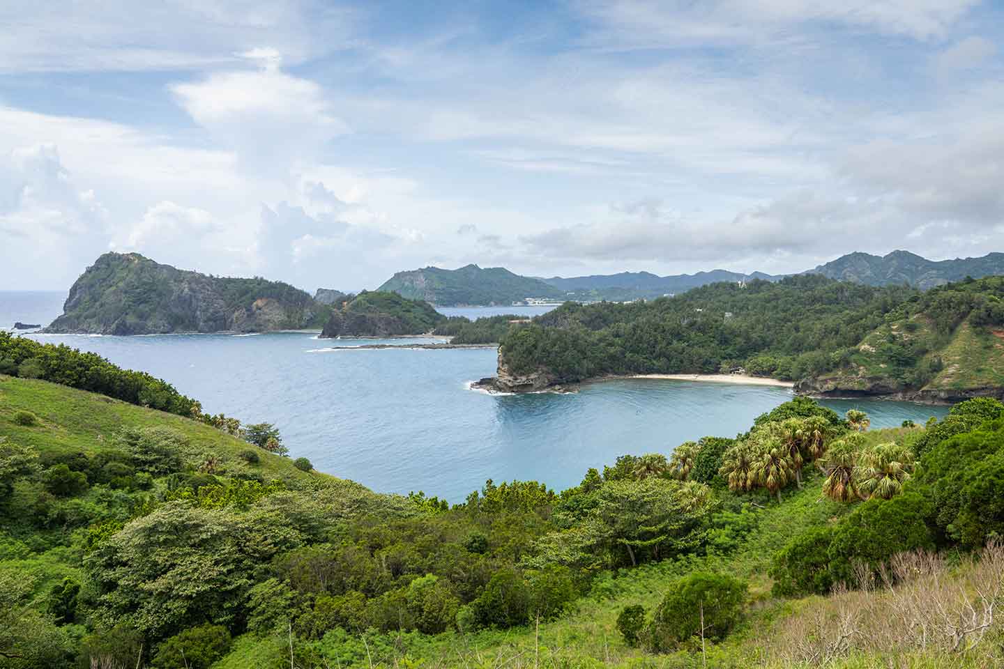 Ogasawara – A breathtaking chain of remote islands in the far south of Tokyo