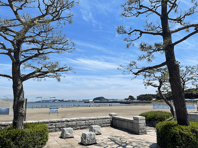 A beautiful day at Yokohama Marine Park